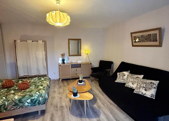 De 50 M2 Apartment Chaumont (Haute-Marne)